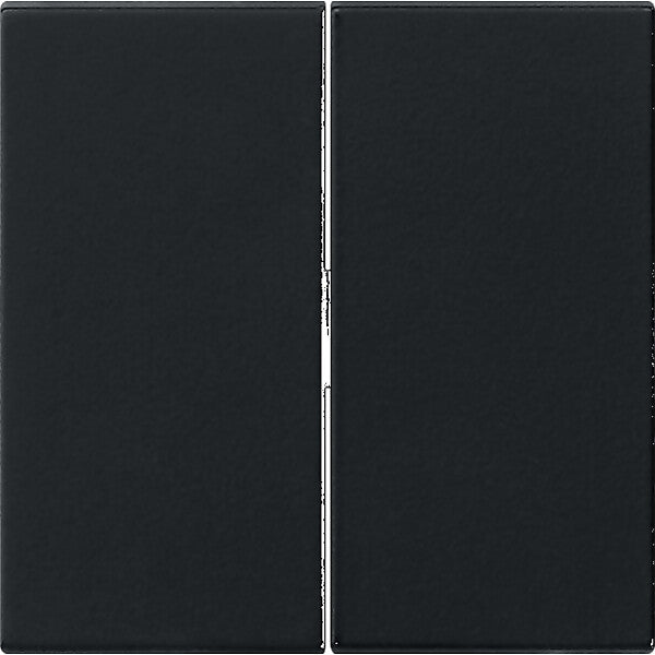 Gira Wippe 2f. sw 0295005